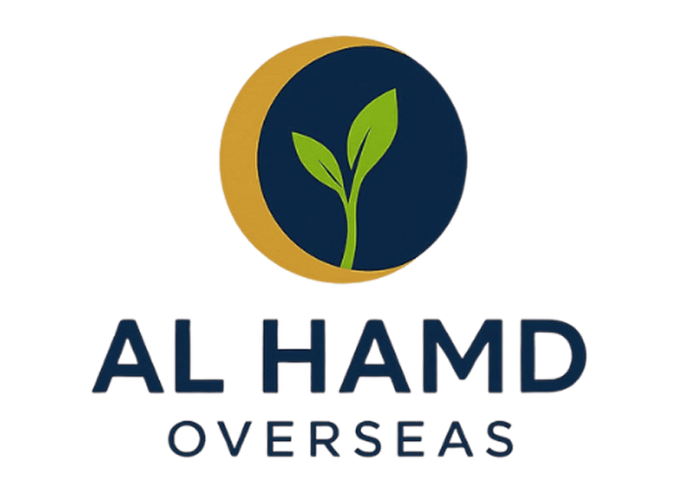 Visa processing agency